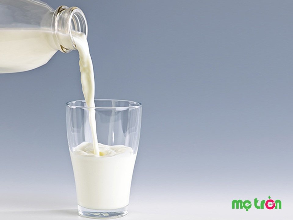 Sữa chính là thực phẩm có chứa nhiều nhất hàm lượng canxi, phốt pho và maige