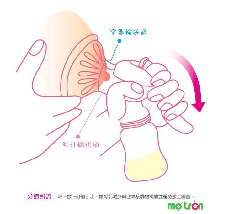 Chu kỳ hút sữa nhẹ nhàng êm ái